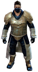 Seeker armor norn male front.jpg
