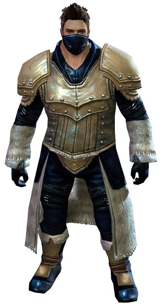 File:Seeker armor norn male front.jpg