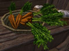 Carrots (Lowland Shore).jpg