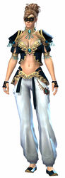 Embroidered armor norn female front.jpg
