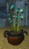 Potted Blue Orchid.jpg