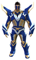 Profane armor norn male front.jpg