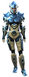 Heavy Plate armor norn female front.jpg