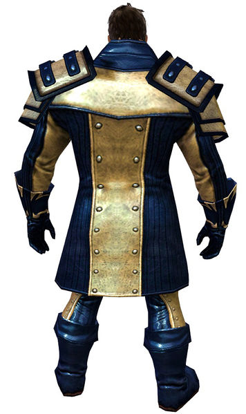 File:Outlaw armor norn male back.jpg