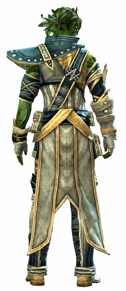 File:Heritage armor (medium) sylvari male back.jpg