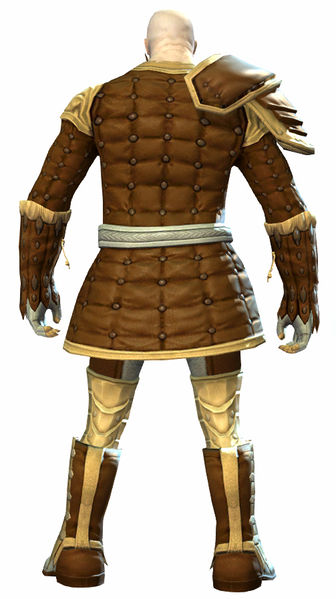 File:Studded armor norn male back.jpg