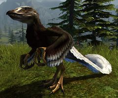 Eagle Raptor.jpg