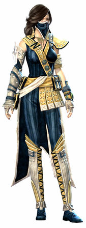 Heritage armor (medium) human female front.jpg