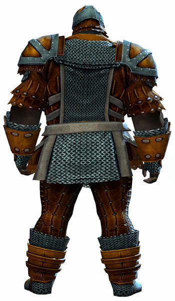 File:Militia armor norn male back.jpg