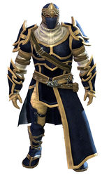 Sneakthief armor norn male front.jpg