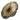 Petrified Sliver.png