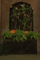 Lattice Planter with Orange Petunias.jpg