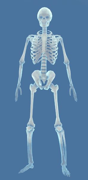 File:Mini Bradford the Skeleton Ghost.jpg