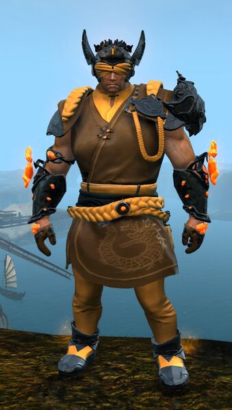 File:Ancient Ritualist armor norn male front.jpg