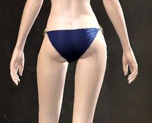 Breezy Swim Bottoms female back.jpg