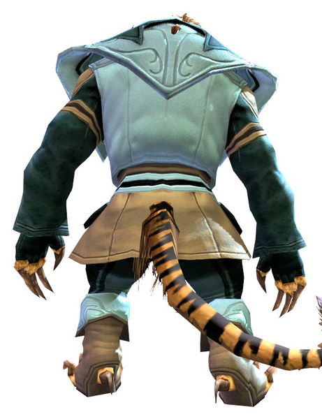 File:Country armor charr male back.jpg