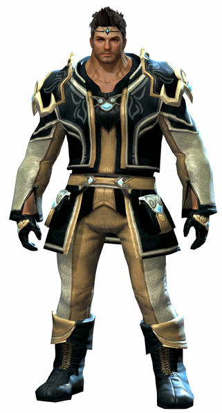 File:Student armor norn male front.jpg