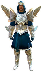 Glorious armor (light) human male front.jpg