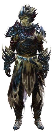 Warden armor sylvari male front.jpg