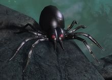 Veteran Plastic Spider.jpg