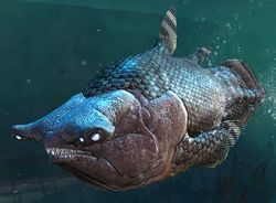 Coelacanth (alt).jpg