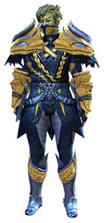Strider's armor sylvari male front.jpg