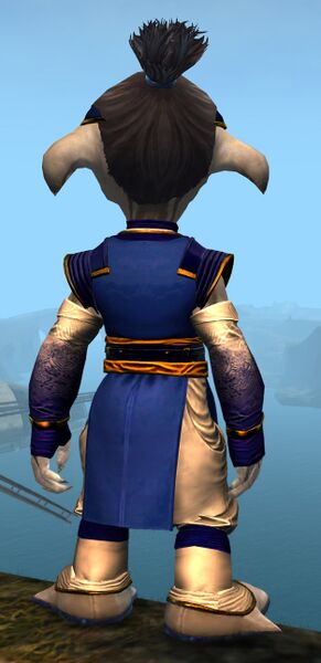 File:Heavy Monastery armor asura male back.jpg