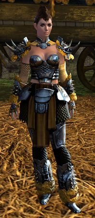 Tamer - Guild Wars 2 Wiki (GW2W)