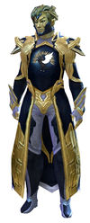 Guild Watchman armor sylvari male front.jpg