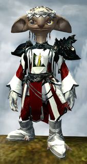 Ornate Guild armor (light) asura male front.jpg