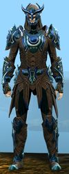 Runic armor (medium) human male front.jpg