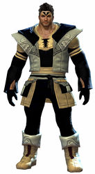 Country armor norn male front.jpg
