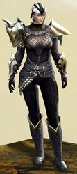 Elegy armor (medium) norn female front.jpg