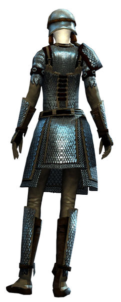 File:Heavy Scale armor norn female back.jpg