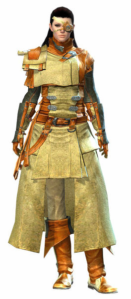 File:Leather armor norn female front.jpg