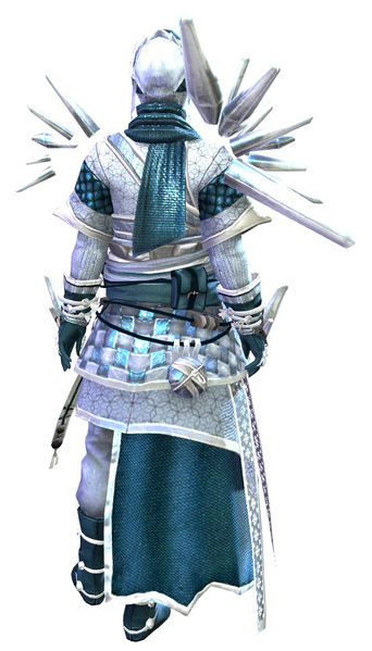 File:Crystal Nomad Outfit norn female back.jpg