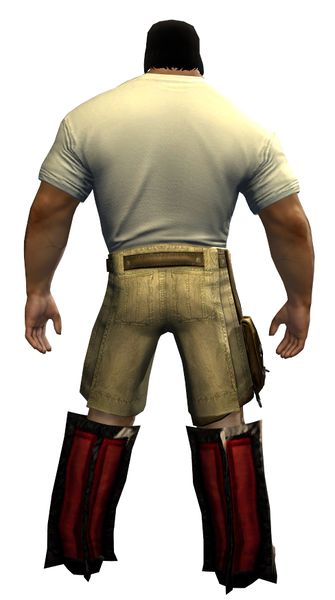 File:Dragon Emblem Clothing Outfit norn male back.jpg