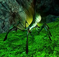 Toxic Spider.jpg