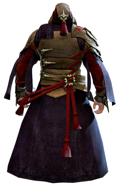File:Arcane Outfit norn male back.jpg