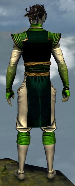 File:Medium Monastery armor sylvari male back.jpg