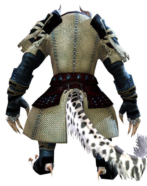 File:Chainmail armor charr female back.jpg