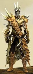 Bounty Hunter's armor (medium) human male front.jpg