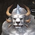 Exclusive face - charr male 4.jpg