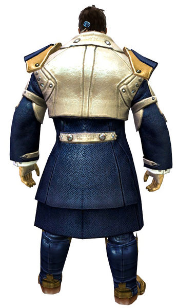 File:Noble armor norn male back.jpg