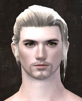 Physical appearance/Exclusive human - Guild Wars 2 Wiki (GW2W)