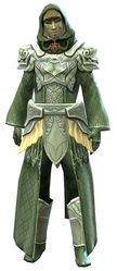 Diviner armor sylvari male front.jpg