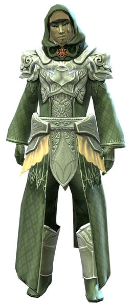 File:Diviner armor sylvari male front.jpg