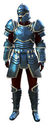 Ascalonian Protector armor sylvari male front.jpg