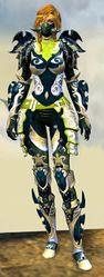 Mistforged Triumphant Hero's armor (medium) human female front.jpg
