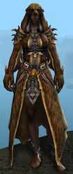 Bear Ceremonial armor norn female front.jpg